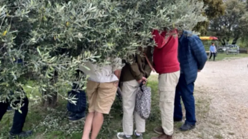Promolive : démonstrations de taille et de greffe à Aubussargues