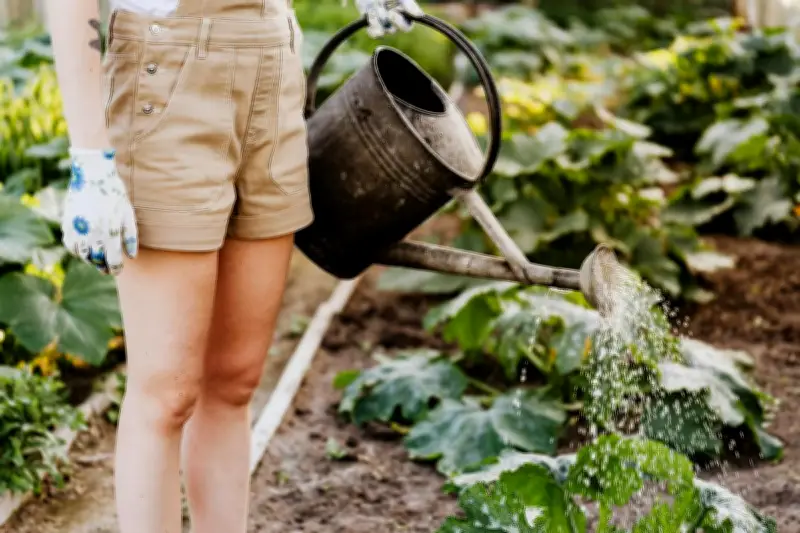 Protéger son jardin de la canicule sans gaspiller d'eau : astuces