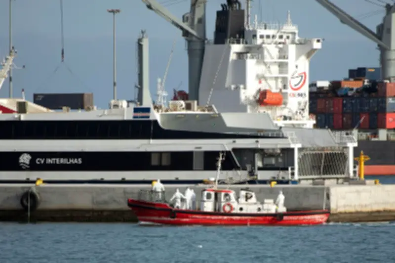 Protocole sanitaire strict sur les bateaux de croisières en cas d'épidémie
