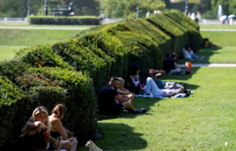 Quels arbres planter pour lutter contre la canicule ?