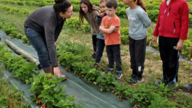 Ramène ta fraise : atelier pâtisserie pour enfants réussi à Belvézet