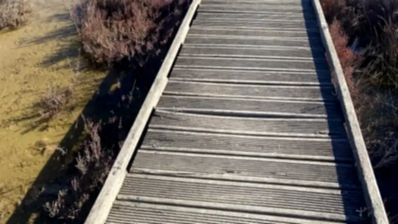 Rand'eau solidaire : une marche contre la faim à Frontignan