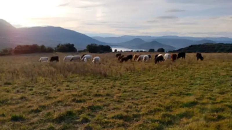 Rando gourmande sur les hauteurs du Salagou le 23 mai