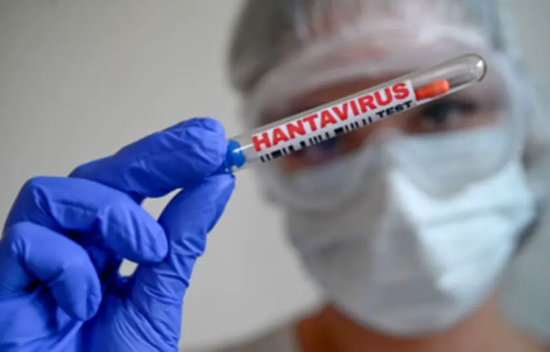 Rapatriement sous haute surveillance des cinq Français contaminés par l'hantavirus
