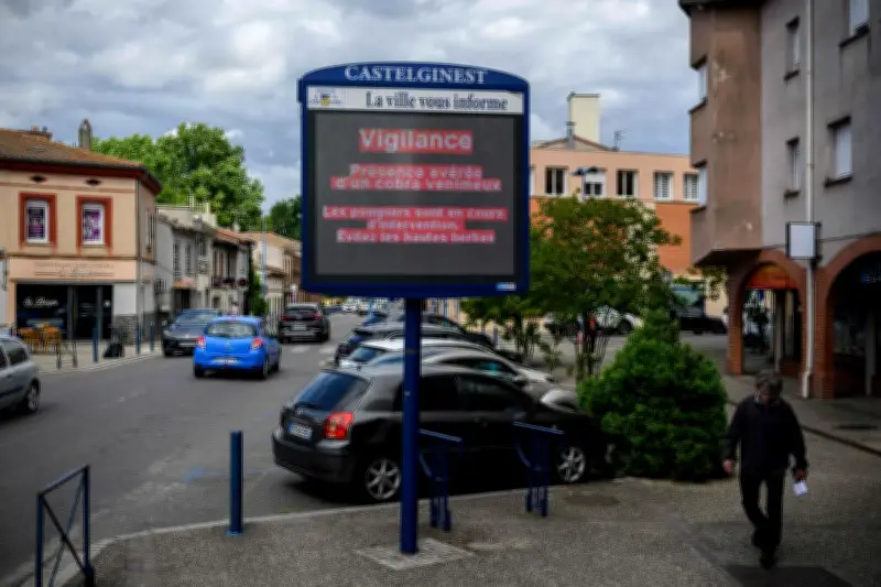Recherches intensives pour retrouver le cobra à Castelginest