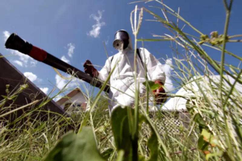 Record de cas de chikungunya en 2025 : appel à la vigilance en métropole