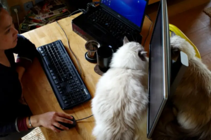 Regarder des vidéos en accéléré : optimiser sa vie ou perdre le fil ?