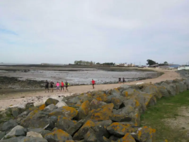 Requalification de la pointe de la Fumée : fin de la première phase