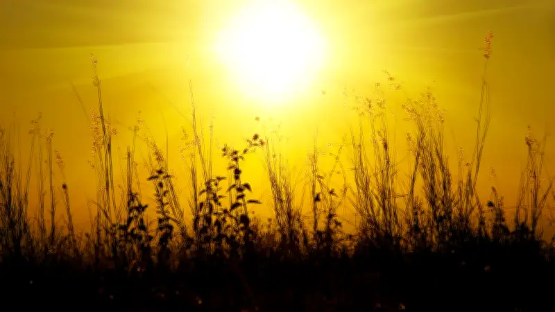 Retour de la chaleur : jusqu'à 33°C en Occitanie pour la Pentecôte
