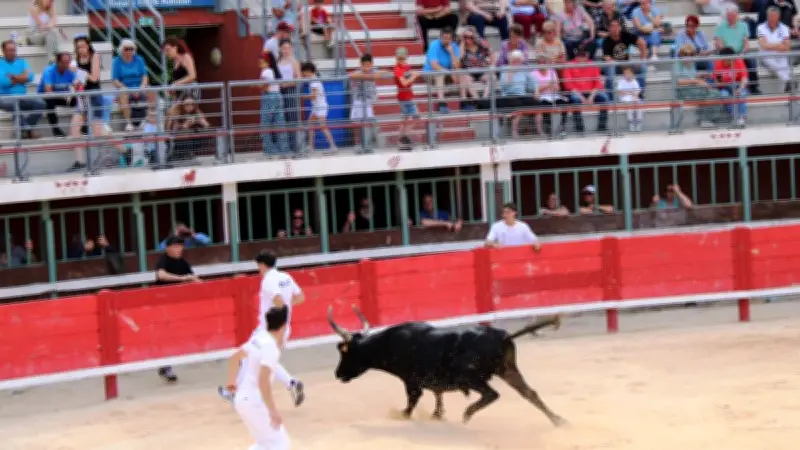 Retour des Prémices aux arènes de Vauvert dès le 21 mai
