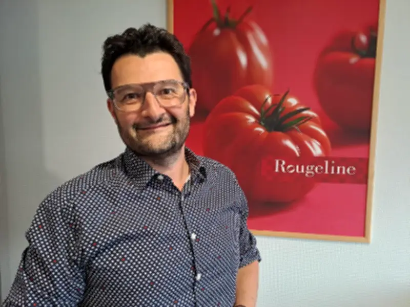 Rougeline : le géant de la tomate mise sur la robustesse