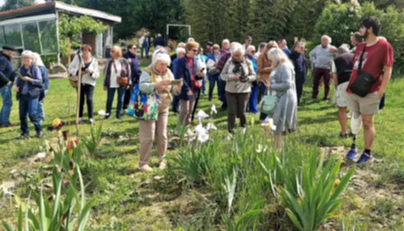 Réouverture de l'iriseraie de Papon : 3 000 variétés d'iris à découvrir