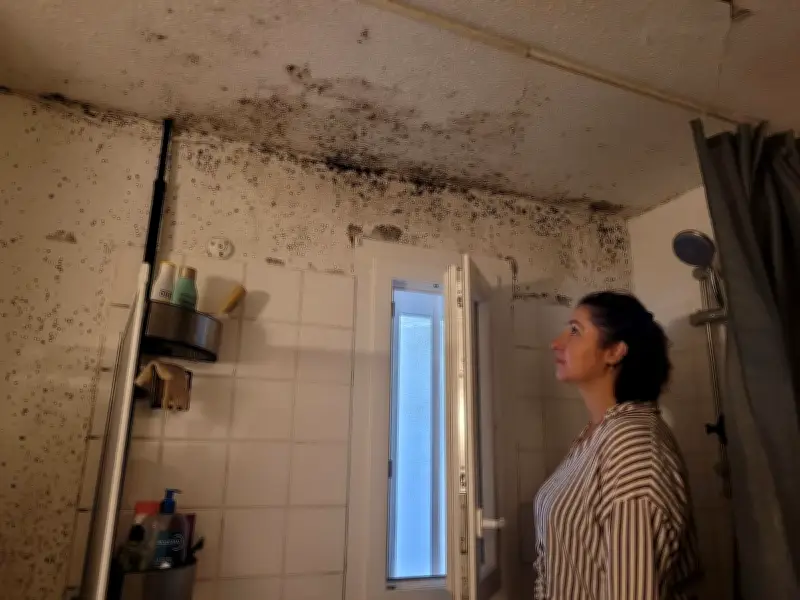 Résidence Les Mosaïques au Bouscat : infiltrations et moisissures persistent