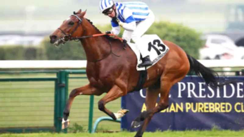 Sabroso domine le quinté du 10 mai à ParisLongchamp