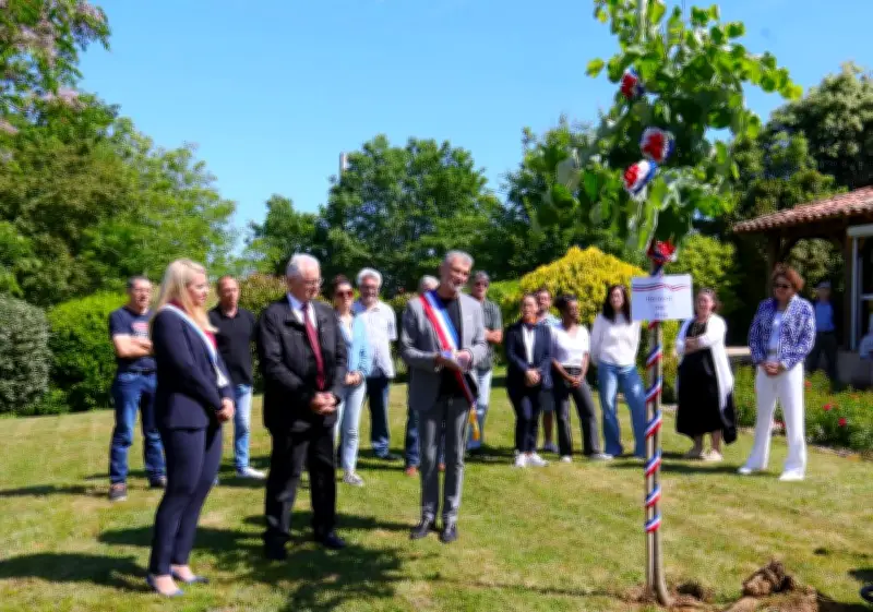 Sainte-Marthe : tradition du Mai respectée avec la plantation d'un tilleul