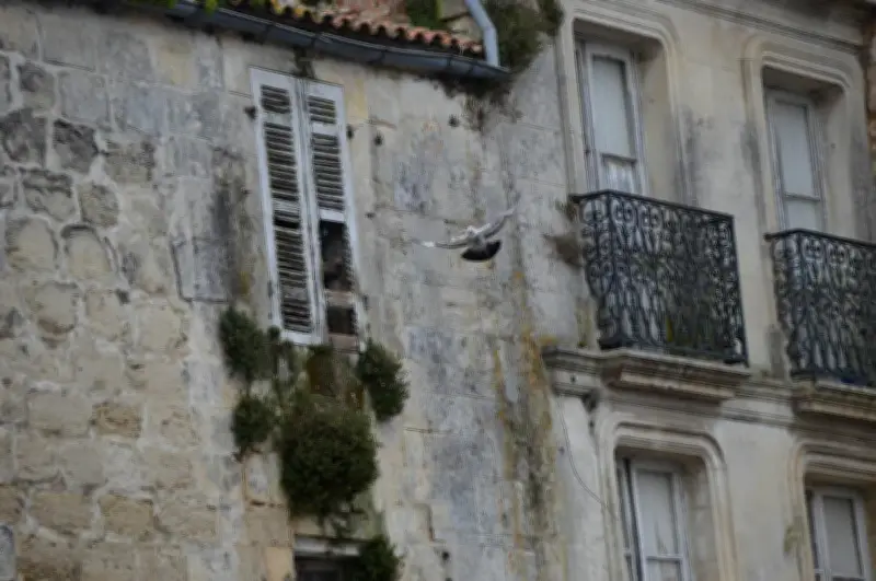 Saintes durcit le ton contre l'habitat dégradé avec des mesures coercitives