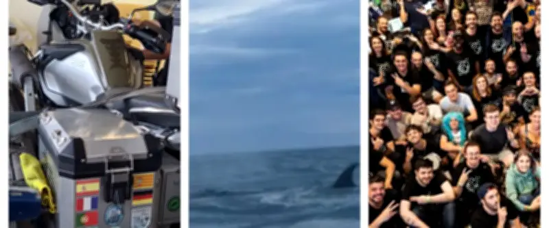 Saisie de cocaïne, ZEvent, baleine rare : l'actu régionale