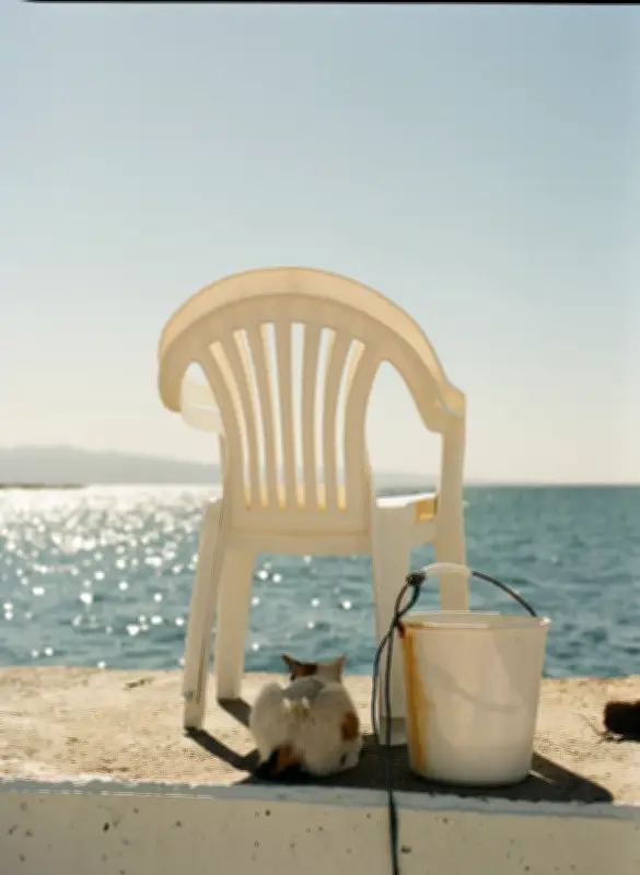 Saison Méditerranée à Marseille : l'art à rivages découverts