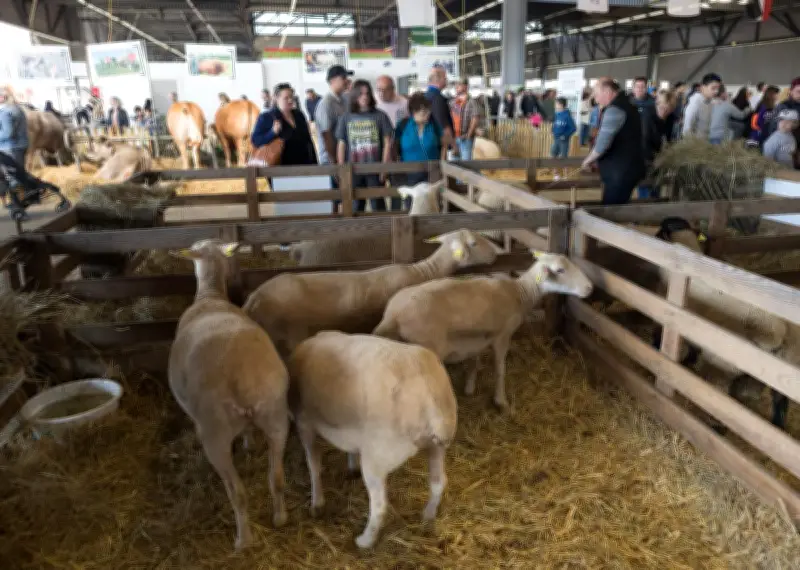 Salon Agriculture Nouvelle-Aquitaine : retour des bovins et nouveau hall