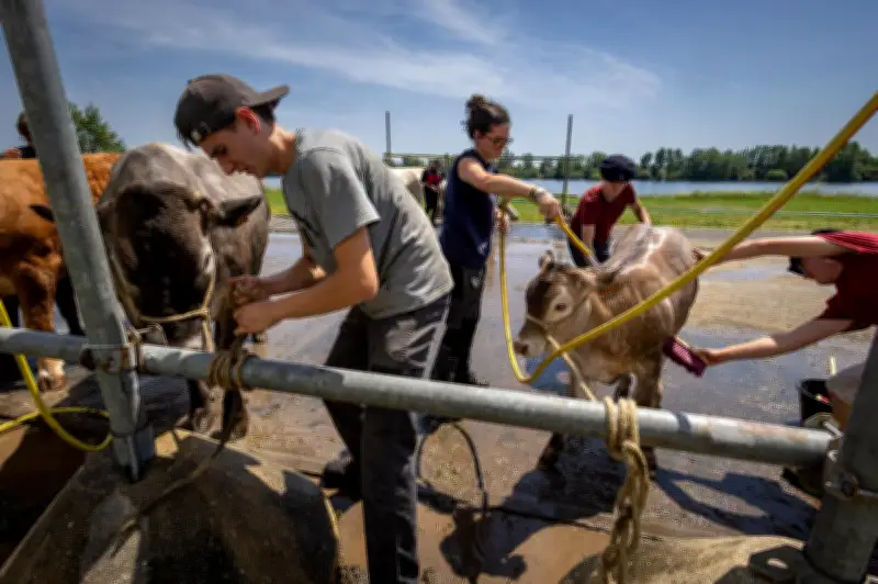 Salon de l'agriculture Nouvelle-Aquitaine : des lycéens passionnés par l'élevage