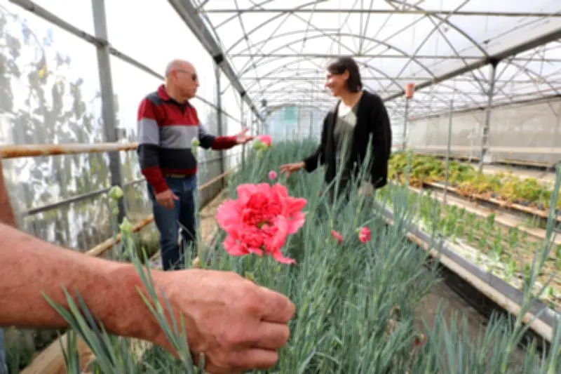 Sauver les fleurs anciennes pour l'horticulture de demain dans le Var