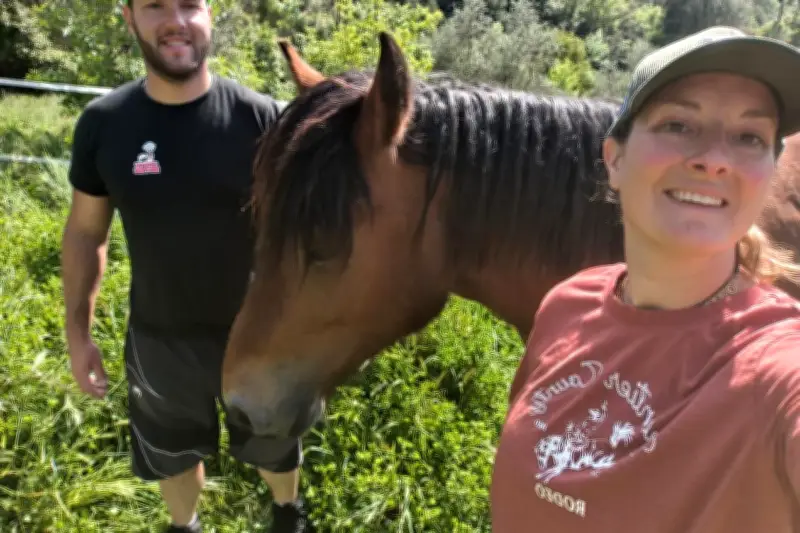 Sauvetage de Pépito : un cheval sauvé de l'abattoir par une avocate et un policier