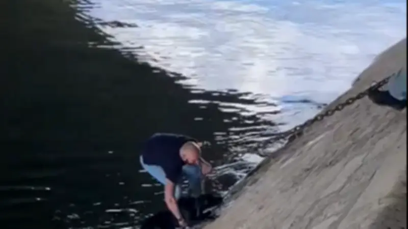 Sauvetage émouvant d'un chien tombé dans la Seine à Paris