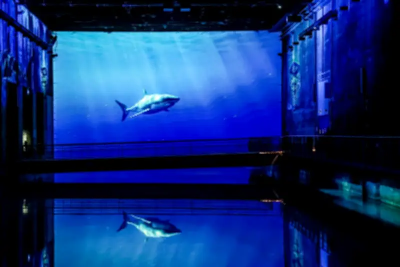 Sea-Score : un questionnaire pour mesurer son impact sur les océans