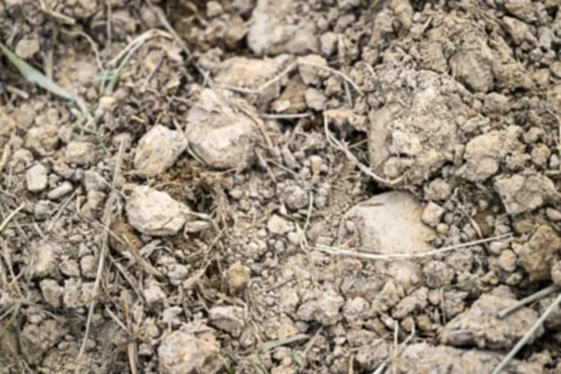 Sols : nouvel enjeu climatique et d'aménagement du territoire
