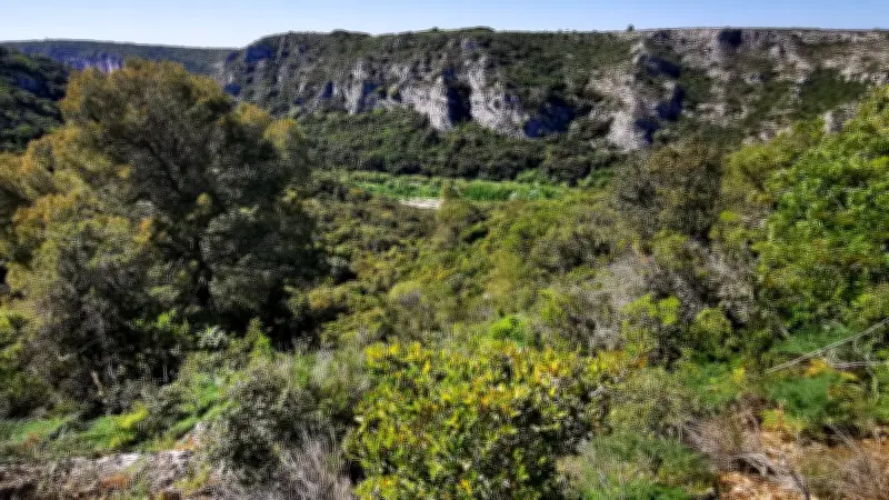 Sortie nature gratuite à Collias pour découvrir la garrigue