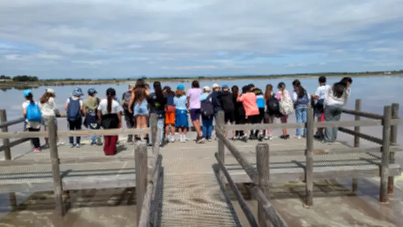 Sortie scolaire en Camargue : les élèves explorent salins et remparts