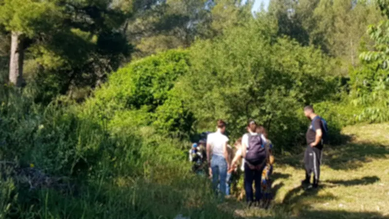 Sortie scolaire et land art pour les maternelles à Saint-Vincent-de-Barbeyrargues
