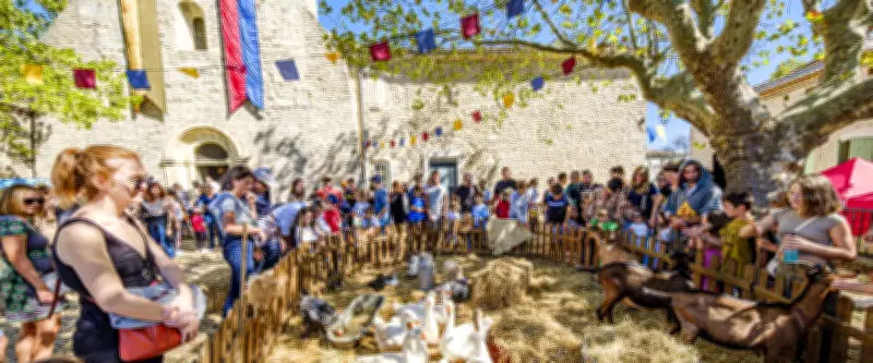 Sortir à Montpellier : Médiévales, musée gratuit, Primitive Man ce dimanche 3 mai