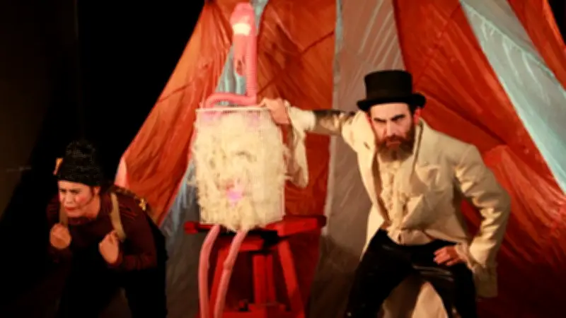 Spectacle "Vira-Vira" : un manège éco-burlesque à la bibliothèque