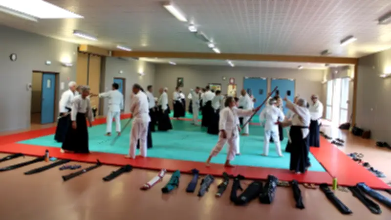 Stage d'aïkido à Saint-Marcel-d'Ardèche : une belle participation