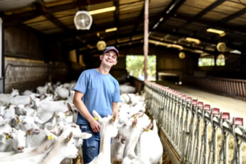 Stages de seconde : l'Alco ouvre ses fermes pour faire découvrir l'agriculture