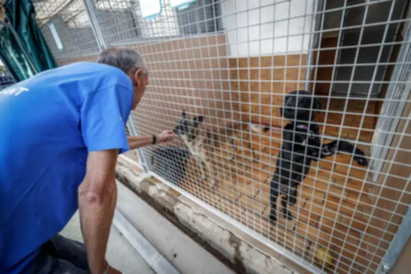 Subvention au refuge SPA de La Rochelle votée sans hausse du barème