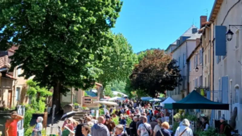 Succès populaire pour le Rendez-vous jardinier à Vabres-l'Abbaye