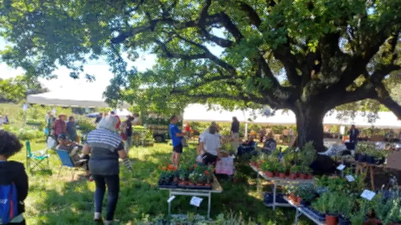 Succès pour la 28e foire aux plants aux Jardins de La Gardie