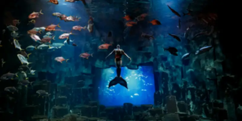 Sur scène, le grand retour du mythe de la sirène