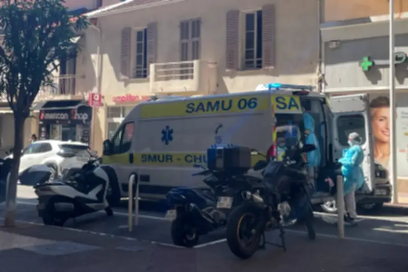 Suspicion d'hantavirus dans les Alpes-Maritimes : une femme transférée à Marseille