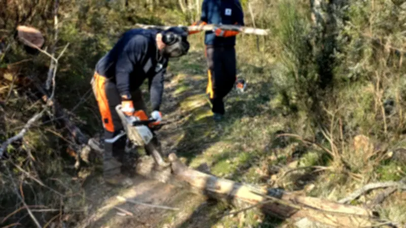 Tempêtes : l'équipe verte de Grand Orb sécurise les sentiers endommagés