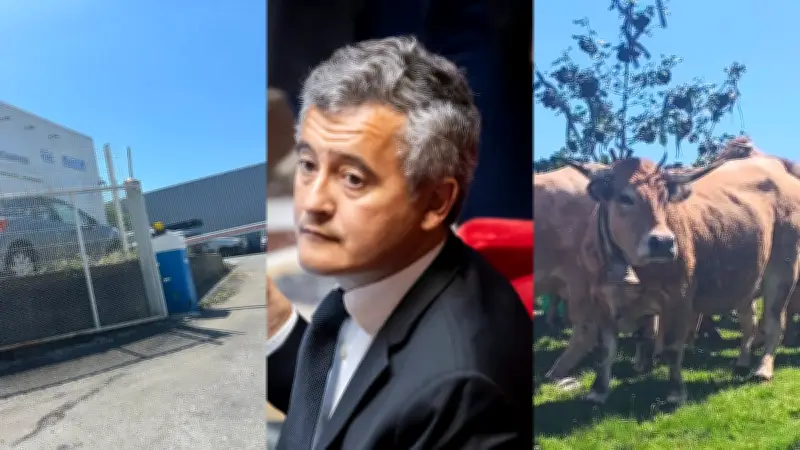 Tentative de meurtre, Darmanin à Béziers, transhumance : l'actu régionale