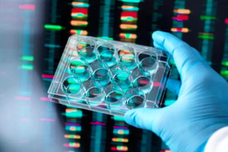 Tests ADN : vers une légalisation en France ? Enquête sur la quête des origines