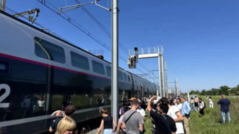 TGV bloqué près de Nîmes : des passagers excédés partent à pied