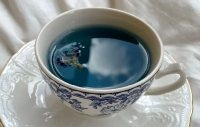 Thé bleu Oolong : bienfaits et préparation d'un allié bien-être