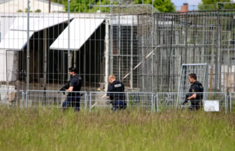 Tigre évadé abattu par la police à Leipzig après une attaque