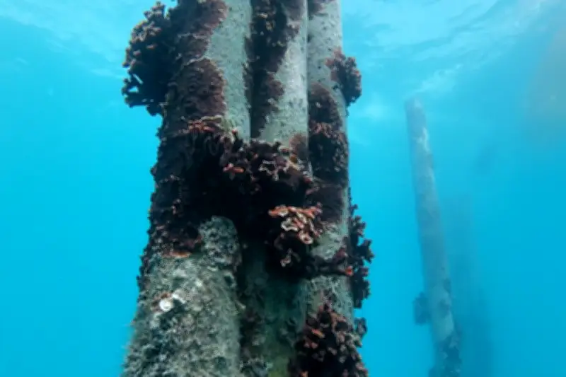 Tipis sous-marins : la solution anti-érosion de Villeneuve-Loubet