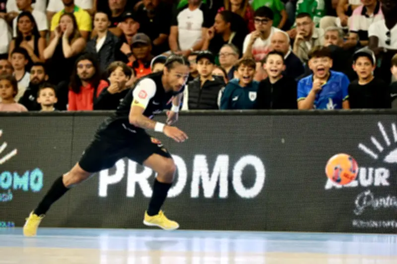 Toulon futsal : après l'exploit, place aux play-offs