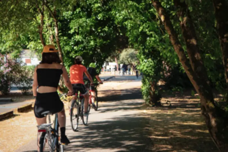 Tour de l'île à vélo : une boucle de 23 km entre océan et marais
